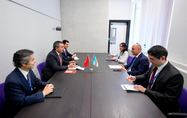 Azerbaijan and Türkiye Discuss Strengthening Educational Ties