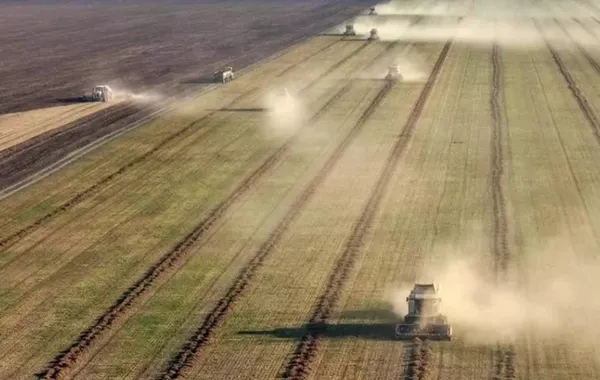 Agriculture Minister: Kazakhstan on Track for Record Oilseed Harvest