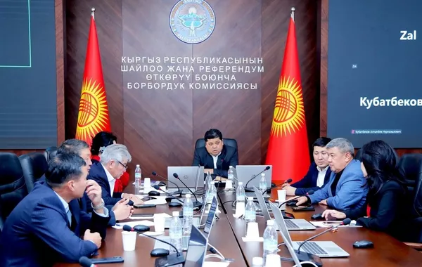 Kyrgyzstan Accredits 251 More International Observers Ahead of Parliamentary Elections