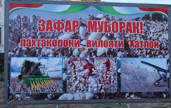 Tajikistan’s Khatlon Region Leads in Cotton Harvest