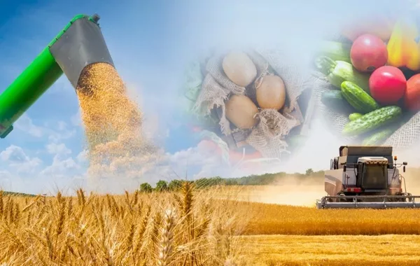 Tokayev Hails Rapid Transformation in Kazakhstan’s Villages