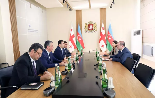 Azerbaijan and Georgia Explore Strengthening Youth Cooperation