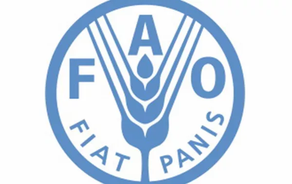 Dushanbe to Host Major FAO Conference on Food Security