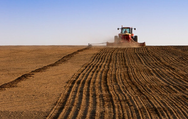 Kazakhstan's Agricultural Output Sees Significant Growth in 2024