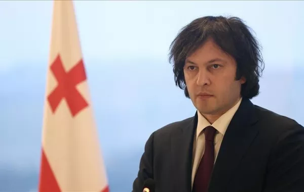 Georgia's PM Claims Foreign-Funded Groups Halted Hydropower Projects