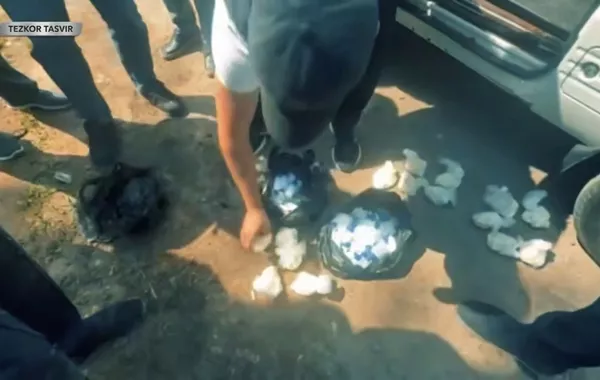 Police Dismantle Crime Network in Uzbekistan