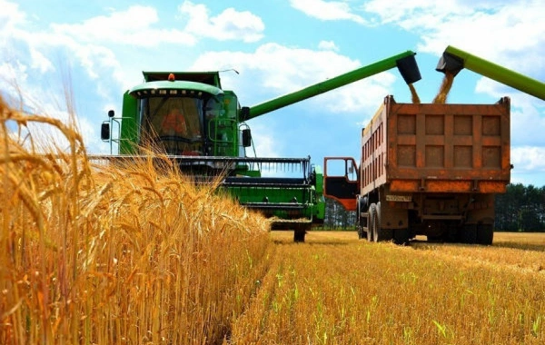 Kazakhstan's Grain Exports Double in 2024