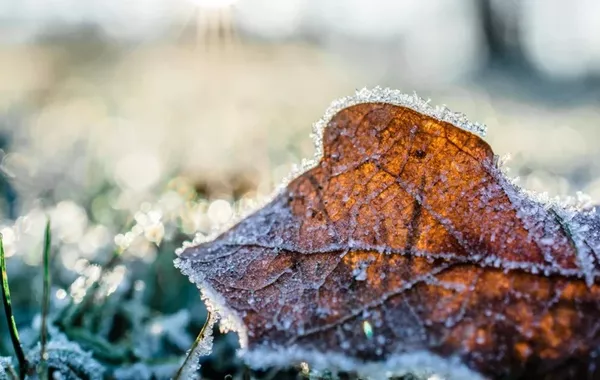 Storm Warnings Blanket Kazakhstan