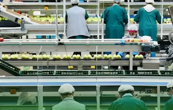 Kyrgyzstan Boosts Agriculture with Over 60 New Facilities