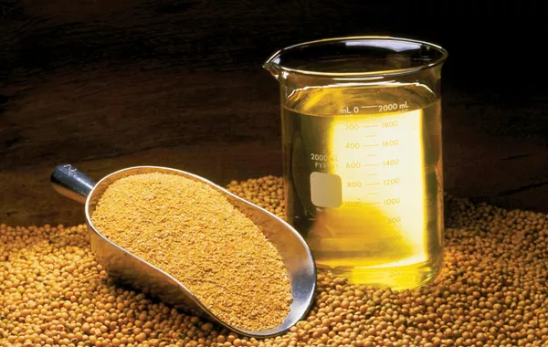 Russia’s Oryol Region Sends First Shipment of Soybean Meal to Kyrgyzstan