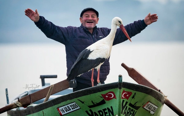 Beyond Borders: The Enduring Friendship of a Fisherman and a Stork Named Yaren