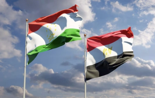 Tajikistan and Egypt Discuss Enhancing Air Connectivity