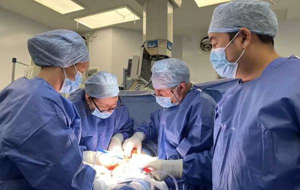 Türkiye Disciplines Nearly 100 Doctors in Crackdown on Unnecessary C-Sections
