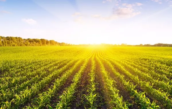 Uzbekistan to Launch Academy for Agricultural Development