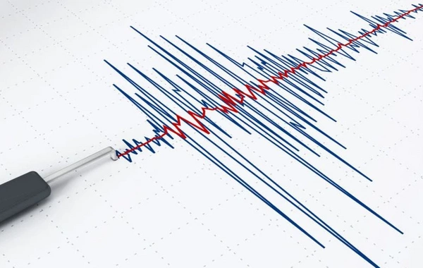 Magnitude 5 Earthquake Strikes Near Kyrgyz-Tajik Border