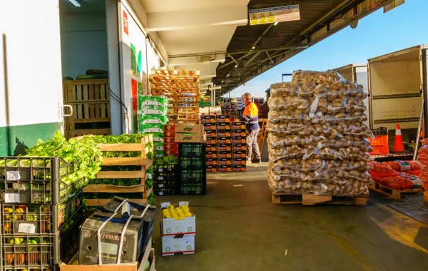 China Becomes Kazakhstan’s Top Fruit and Veg Supplier