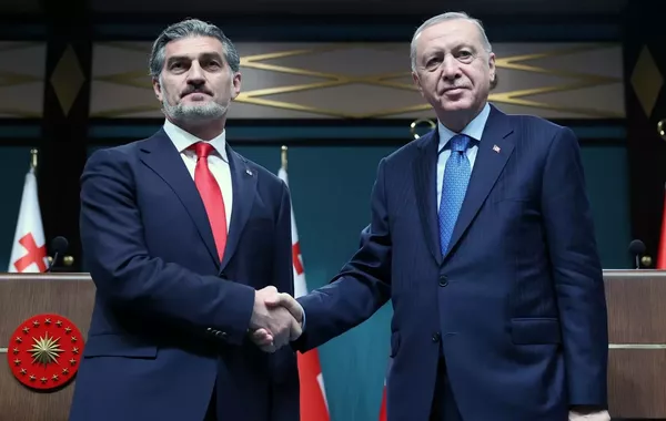 Erdoğan: Türkiye and Georgia to Work 'Shoulder to Shoulder' for Regional Cooperation and Peace