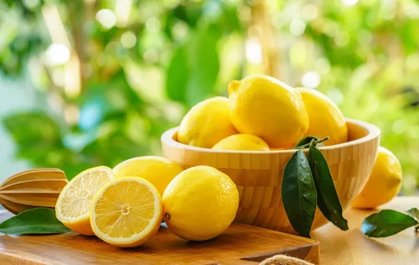 Lemon Exports Rise Sharply in Uzbekistan