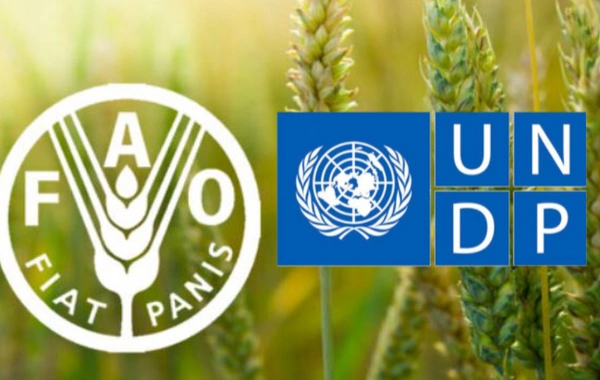 UNDP, FAO Partner on Project to Improve Environmental Sustainability in Aral Sea Basin