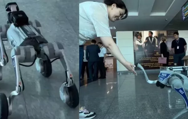 High-Tech Patrols: Robot Dogs Join Security Forces in Kazakhstan