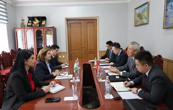 Tajikistan, China Discuss Expanding Cultural Cooperation in Dushanbe
