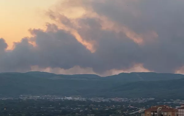 Forest Fire Erupts in Türkiye’s Mugla Province as Strong Winds Fuel Flames