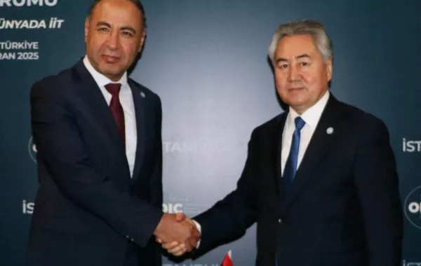 Libya, Kyrgyzstan Discuss Strengthening Bilateral Ties at Istanbul OIC Meeting