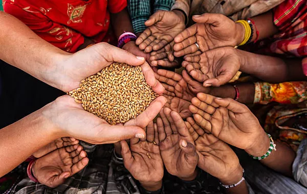 IMF Warns Iran War Could Push Global Hunger Past 360 Million