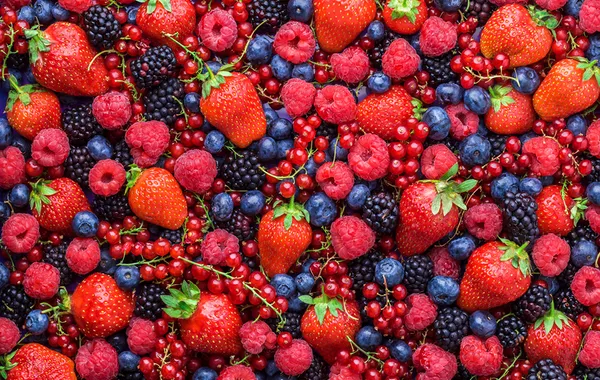 Russia’s Arkhangelsk Receives Massive Shipment of Fruits and Berries from Kyrgyzstan