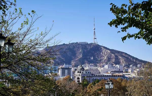 Uzbekistan, Georgia to Hold Major Business Forum in Tbilisi to Boost Investment and Trade