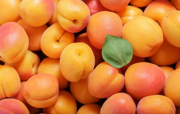 Armenian Apricot Shipment to Spain Spoils in Transit, Causing Major Export Losses