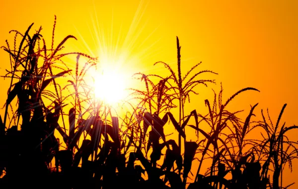 Hot and Dry Air from Iran to Fuel Temperature Spike in Southern Kazakhstan