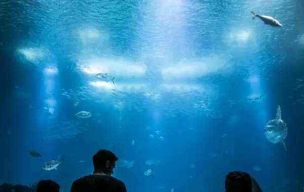 Kazakhstan to Get New Park Featuring Aquarium, Butterfly Museum