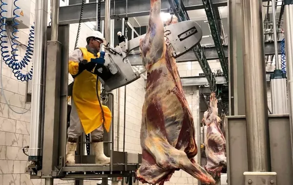 Kazakh Court Jails 30 in Huge Meat Industry Subsidy Scheme