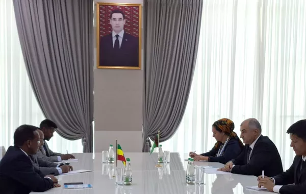Turkmenistan and Ethiopia Discuss Cooperation in Transport and Environmental Sustainability