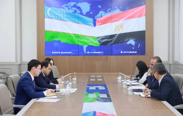 Uzbekistan, Egypt Discuss Enhancing Trade, Economic Cooperation