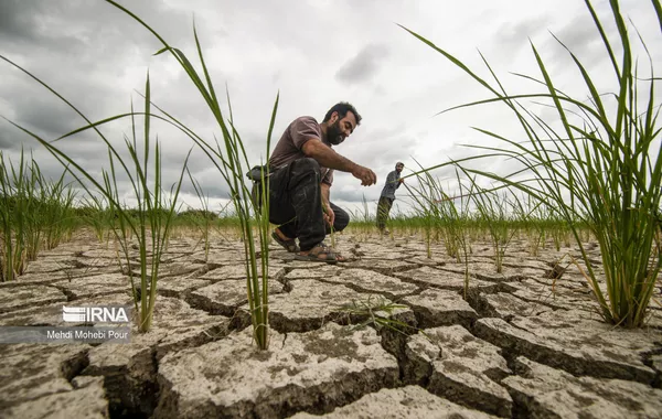 Iran Struggles with Severe Drought Due to Poor Water Management, Environmental Official Warns