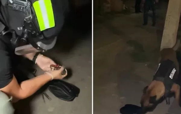 Kazakh Policemen Detain Man Carrying Training Grenade and Knife