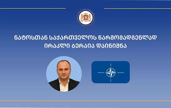 Georgia Appoints New Representative to NATO