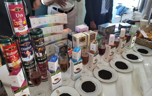 Azerbaijan Participates in International Tea Day Celebration at UNESCO