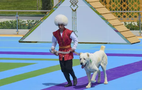 Turkmen Alabay Dog Breeding Joins UNESCO Intangible Heritage