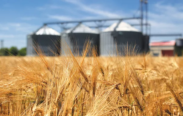 Why the First Grain Shipment Matters for the South Caucasus