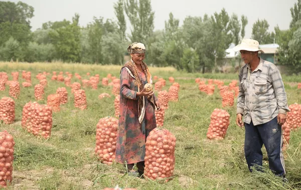 WB: Tajikistan Needs $1.4 Billion to Meet 2030 Nutrition Goals