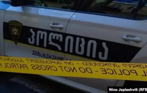 Georgian Police Detain Two Brothers in High-Profile Criminal Case