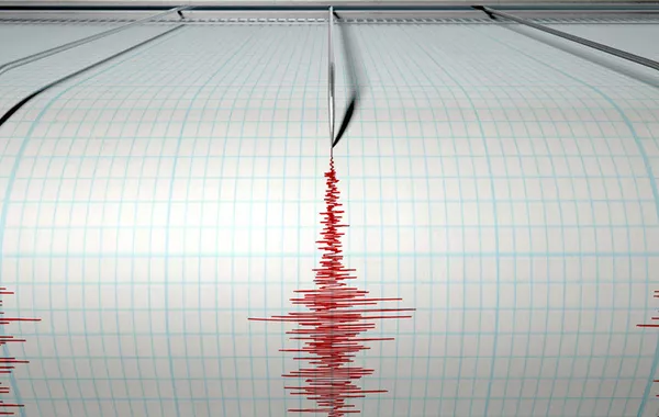 Magnitude 4.9 Earthquake Hits Western Türkiye
