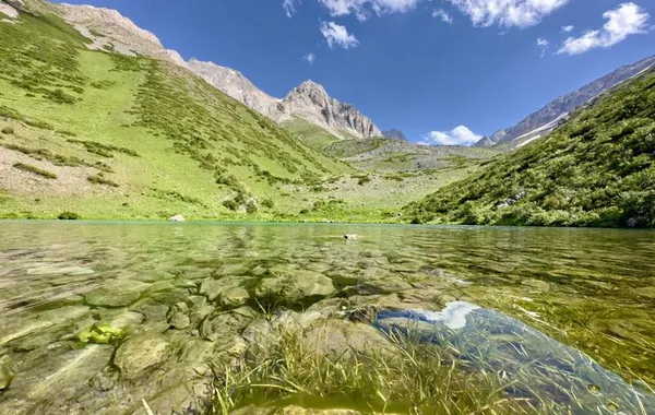 Kazakhstan Unveils Long-Term Biodiversity Conservation Concept