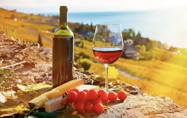 Russia Suspends Imports of Georgian Wine, Mineral Water and Other Products