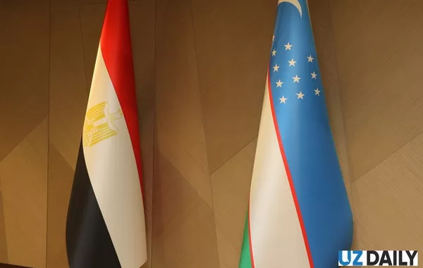 Uzbekistan, Egypt Discuss Beverage Industry Collaboration in Key Cairo Meeting