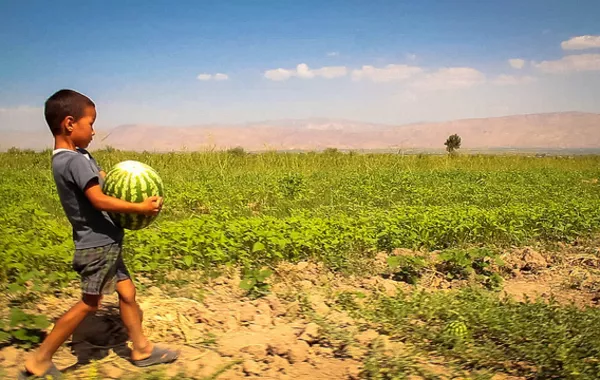 Tajikistan Boosts Agricultural Output