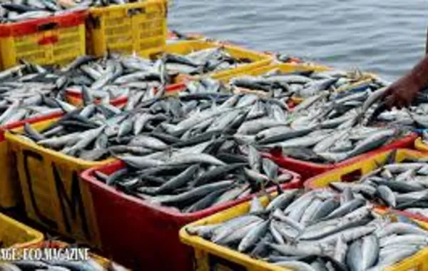 Kazakhstan’s Aquaculture Industry Set for Boom Following 2025 Legal Reforms